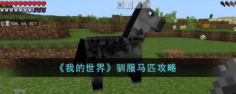 我的世界怎么让马变色