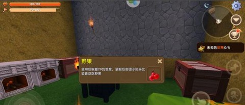 迷你世界野果怎么做[图2]