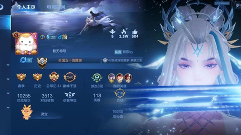 王者荣耀空格名字怎么打[图2]