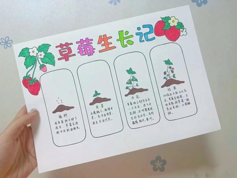 仙人掌怎么种迷你世界